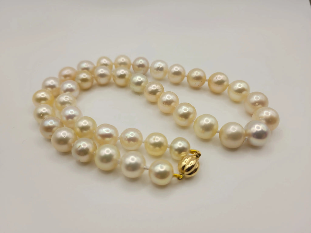 South Sea pearl necklace 9-11mm on model — Pinctada maxima natural colors