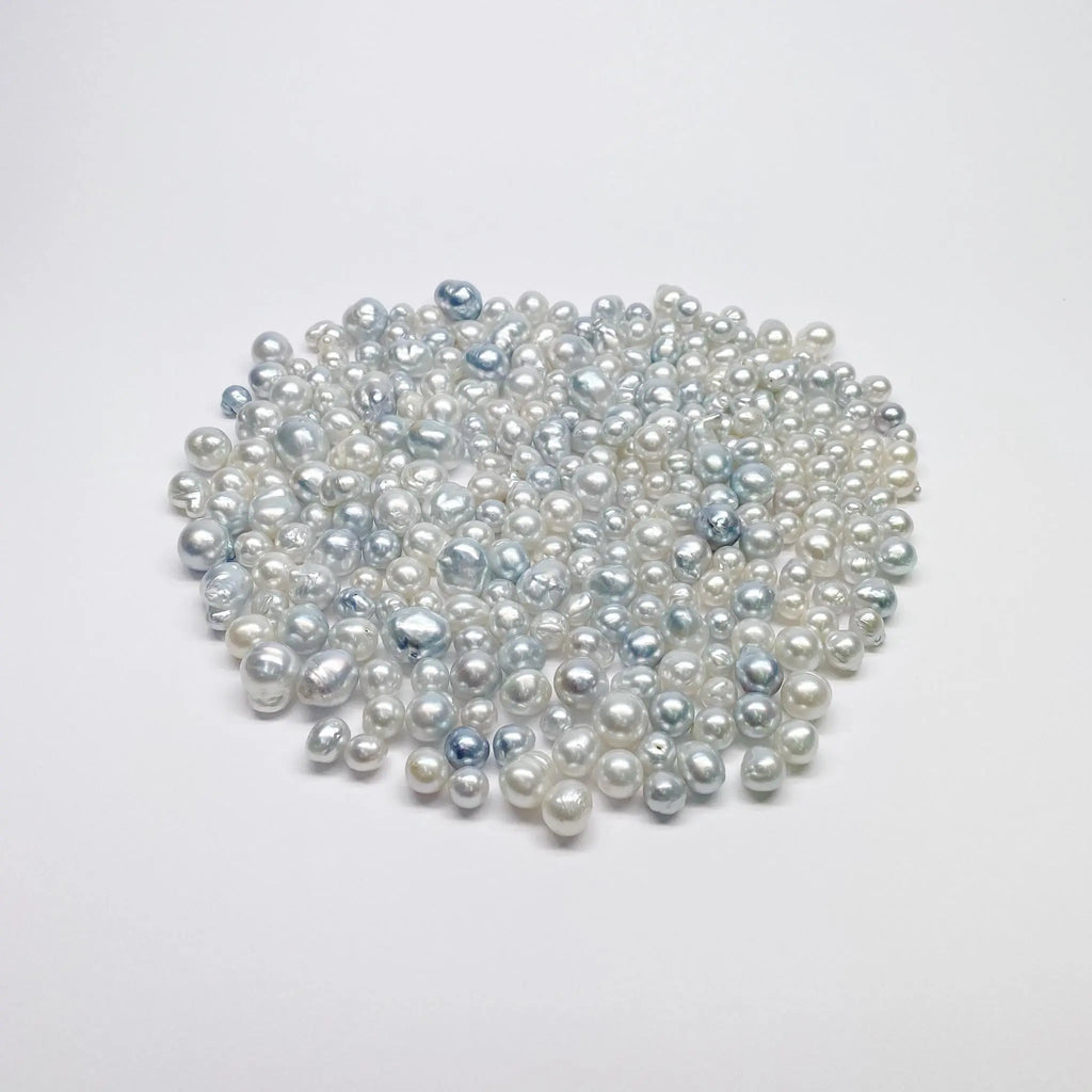 THE SOUTH SEA PEARL | The South Sea Pearl