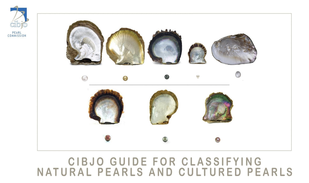 Classifying Natural Pearls and Cultured Pearls | The South Sea Pearl