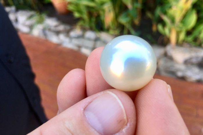 Do you know F.A.Q to buy South Sea Pearls from our Website? | The South Sea Pearl