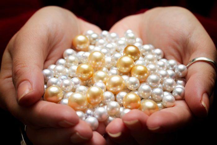 Pearl farmers in WA's Kimberley bring shine back to Australian pearling industry | The South Sea Pearl