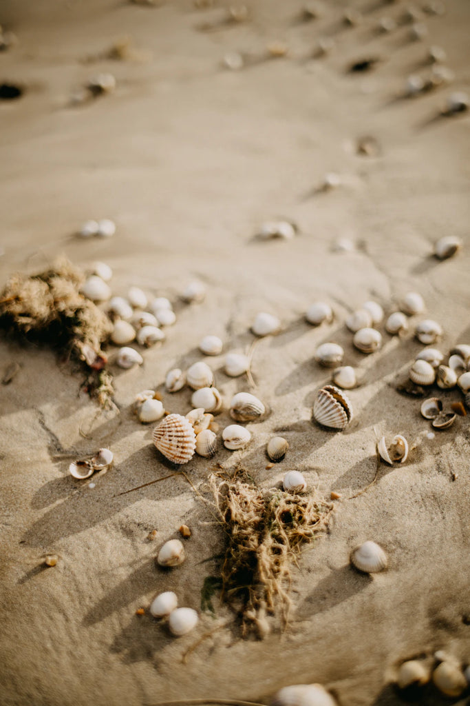 Unveiling the Art of Tahitian Pearl Cultivation