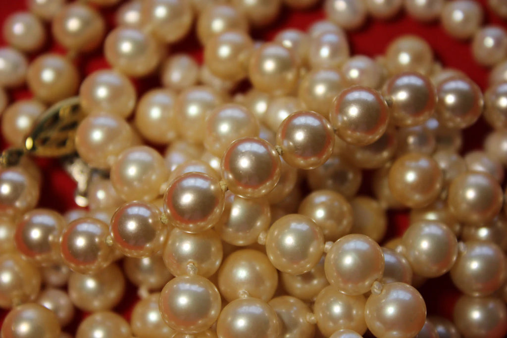 Discovering the Allure of Tahitian Pearls