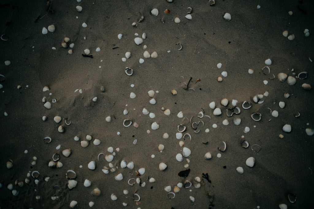 Discovering What's Next The Future of Tahitian Pearls