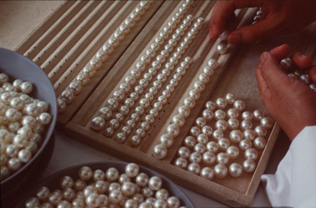 Why our prices are so low? | The South Sea Pearl