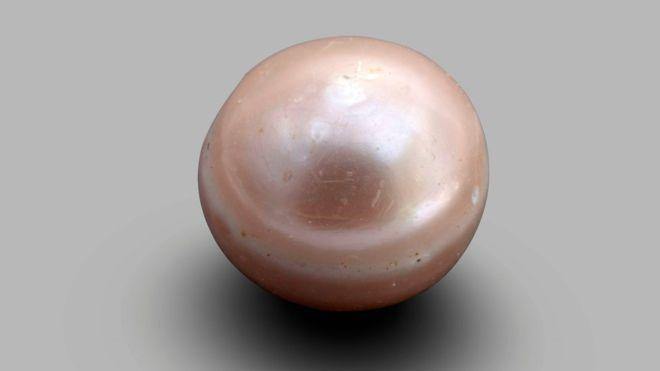 World's oldest pearl discovered near Abu Dhabi | The South Sea Pearl
