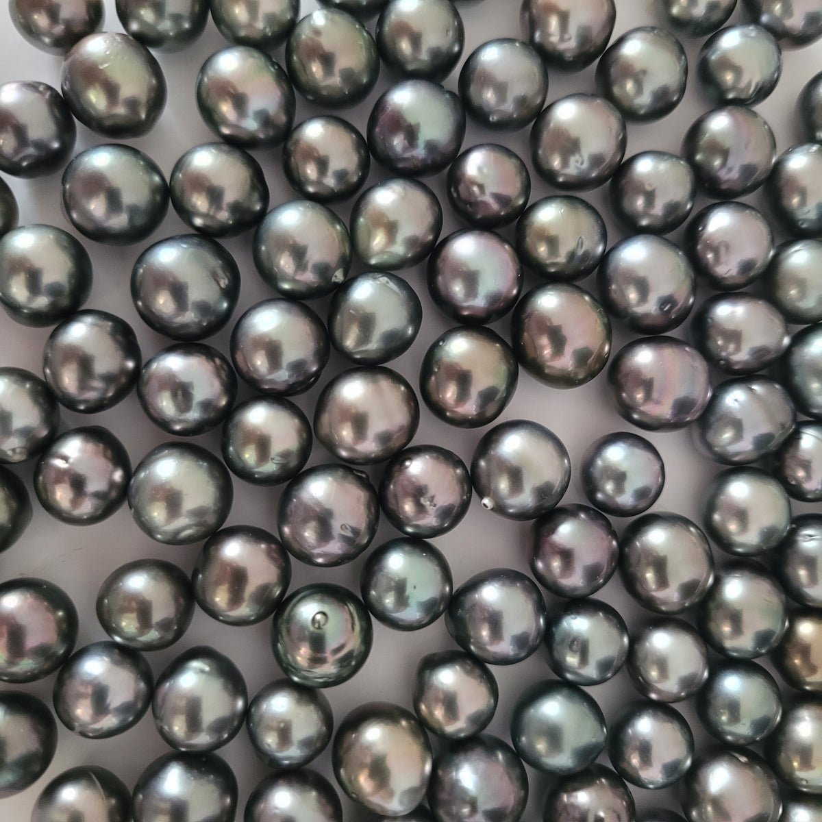 The South Sea Pearl