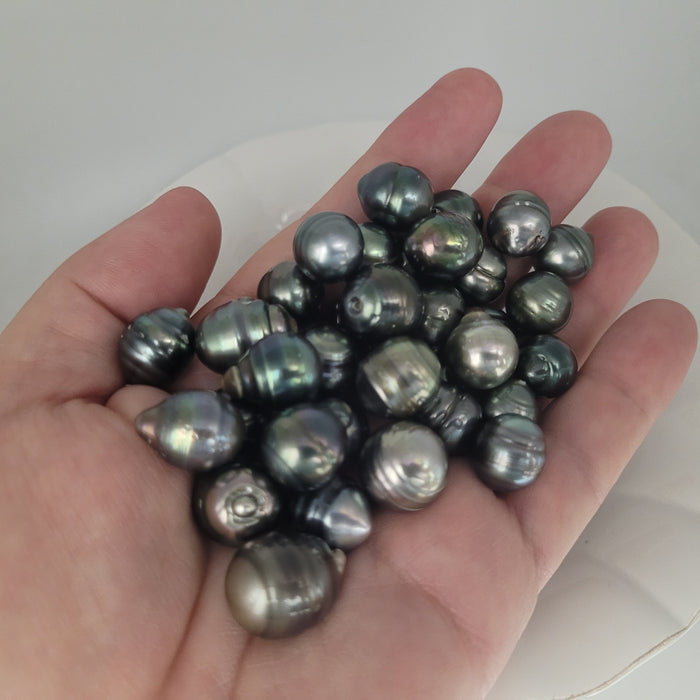Tahiti Loose Pearls 12-14 mm AAA CIRCLE