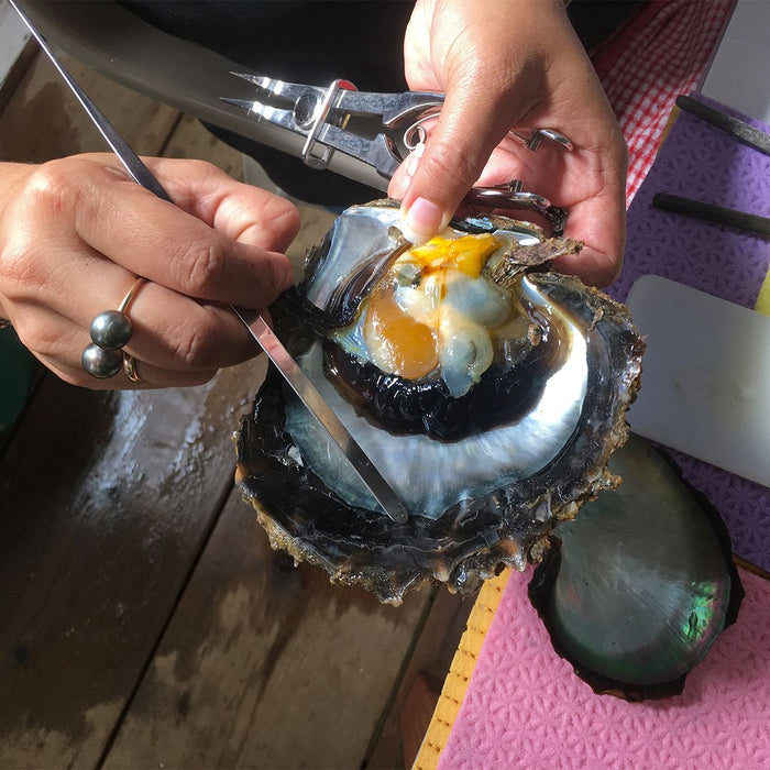 Tahitian Pearl Ring Round Natural Color & Luster 9-10 mm
