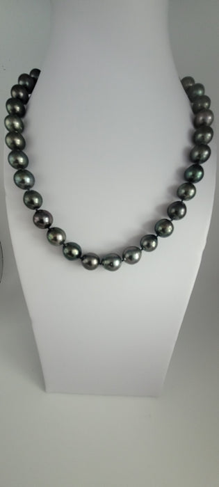 Tahiti Pearls of Dark Color and High Luster 10-11 mm |  The South Sea Pearl |  The South Sea Pearl