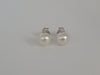 Earring studs of White South Sea Pearls AAA, Diamonds and 18K White Solid Gold |  The South Sea Pearl |  The South Sea Pearl
