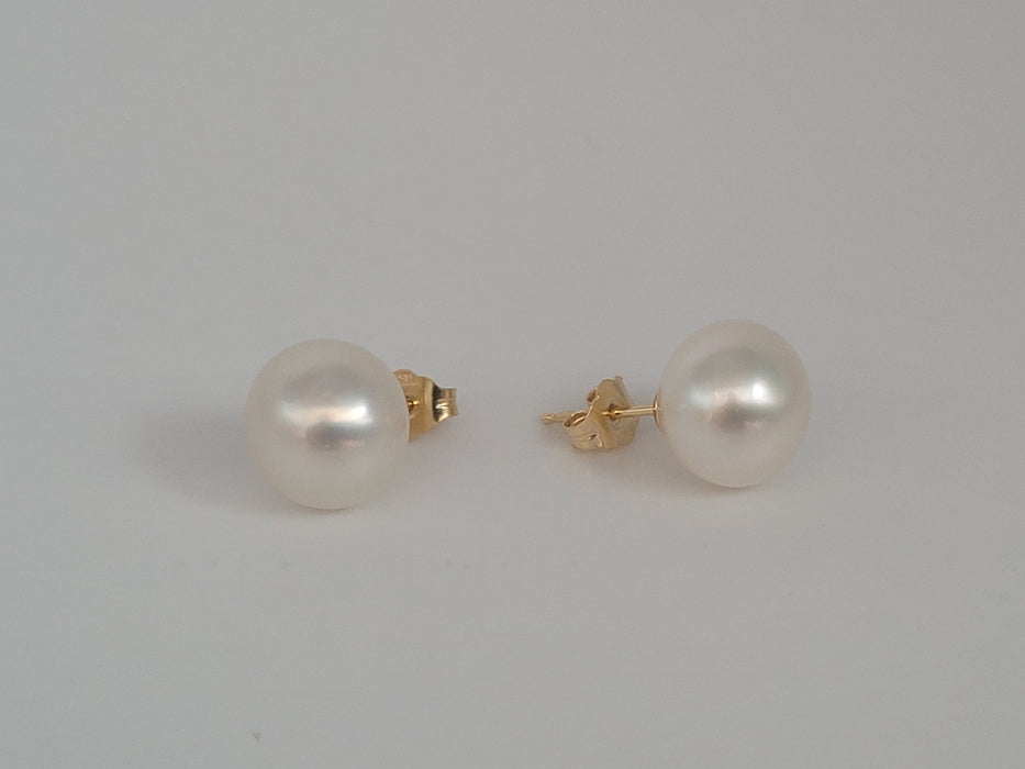 White South Sea Pearls 10-11 mm Earrings Stud 18K Solid Gold