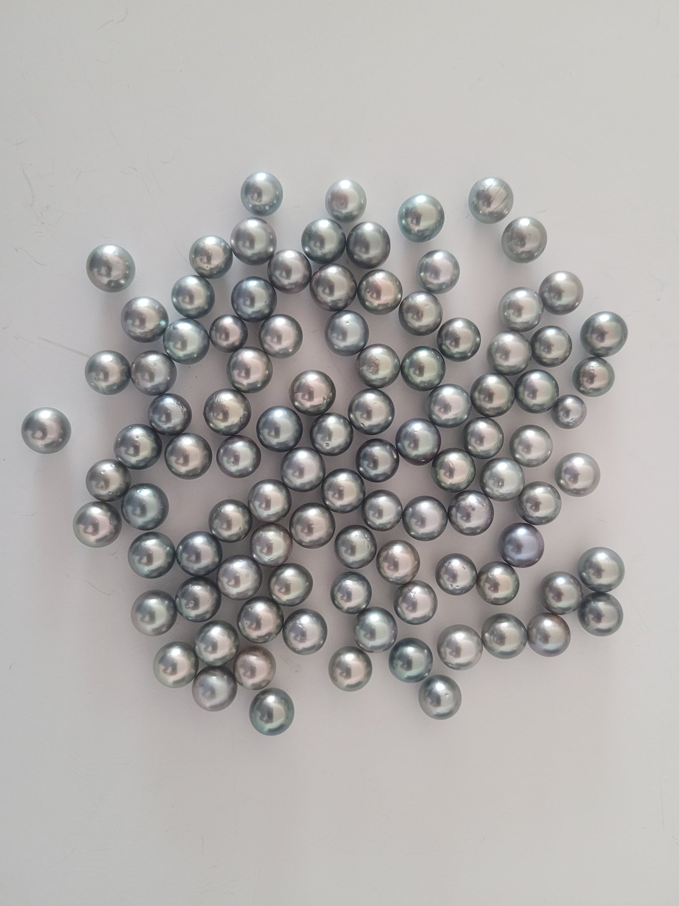 Loose South Sea Pearls at Wholesale Prices | The South Sea Pearl