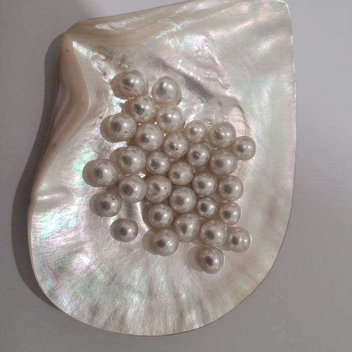 White South Sea Pearls 12 mm Grade 1 High Luster