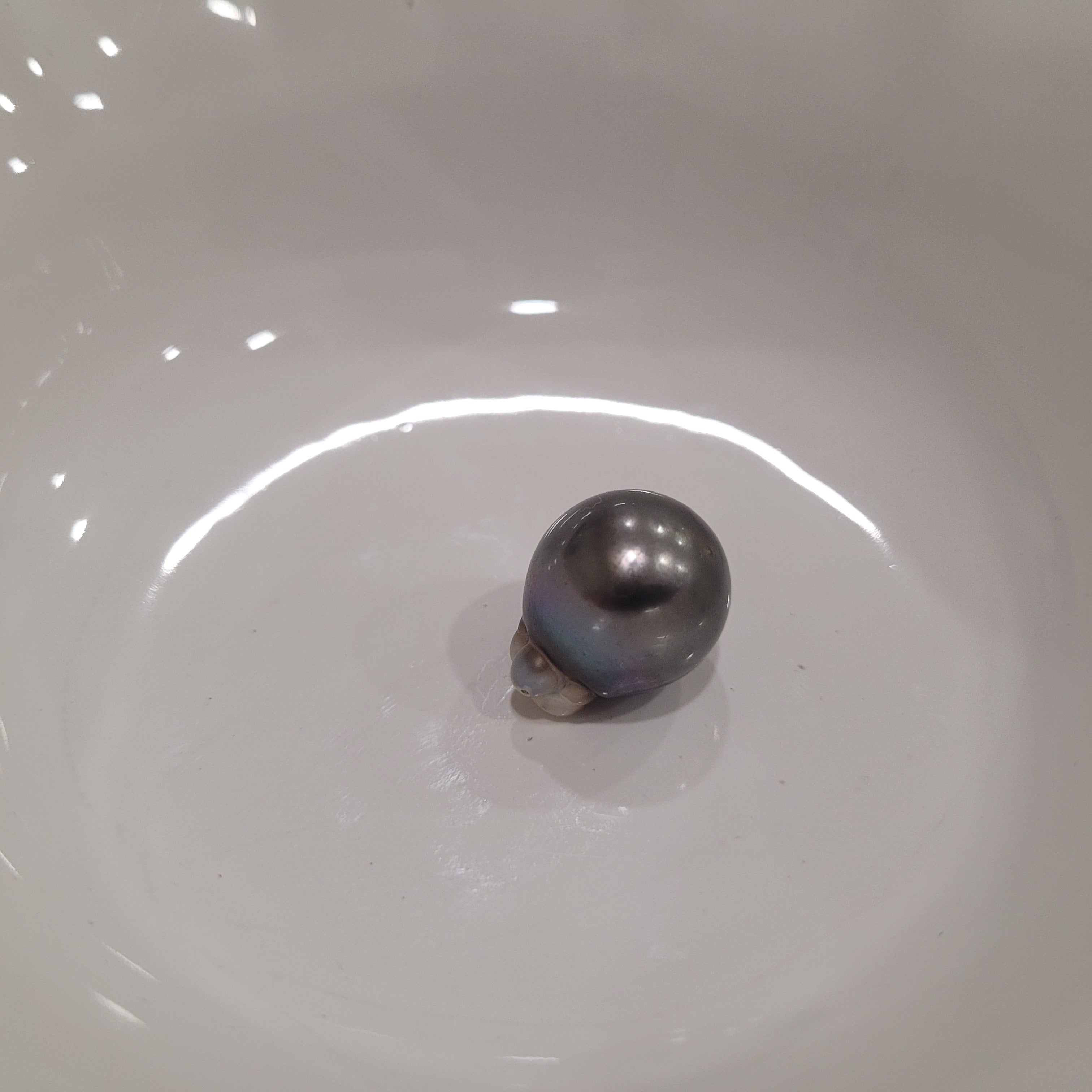Tahiti Pearl 16,50 mm Drop Shape, Dark Color, High Luster