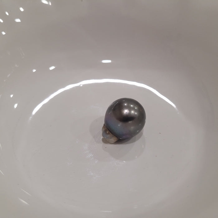 Tahiti Pearl 16,50 mm Drop Shape, Dark Color, High Luster