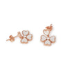 Earrings of Mother of Pearl in Silver 925 Rose Gold Plated | The South Sea Pearl |  The South Sea Pearl