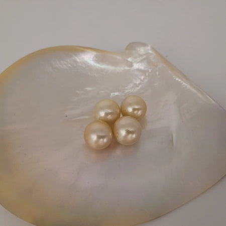 Golden South Sea Pearls 13 mm Round AAA Quality |  The South Sea Pearl |  The South Sea Pearl