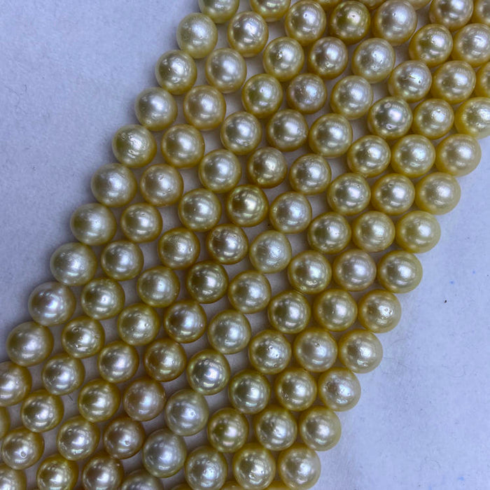 Golden South Sea Pearl Strands 9-12 mm Round