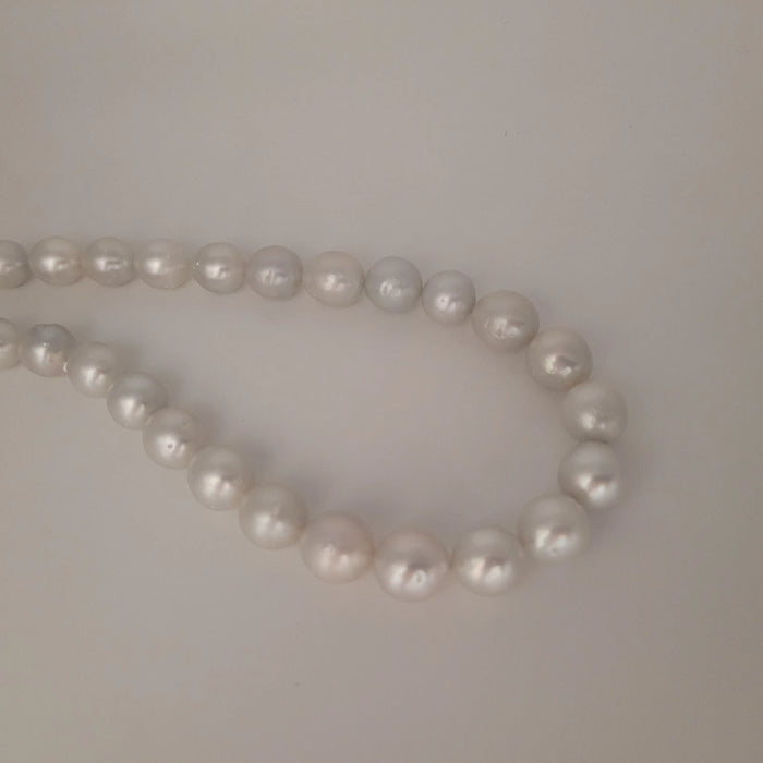 South Sea Pearls 10-13 mm Semi-Round 18K Gol Clasp | The South Sea Pearl |  The South Sea Pearl