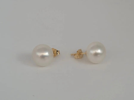 South Sea Pearls 12 mm 18 Karat Gold Earrings | The South Sea Pearl |  The South Sea Pearl