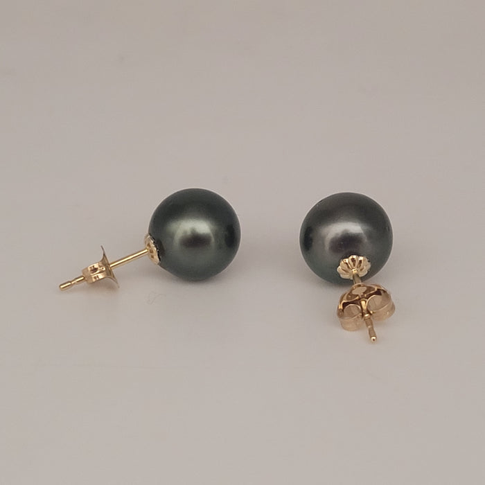 Tahiti-Perlen-Ohrstecker 10,3 mm, AAA, 18-karätiges Massivgold
