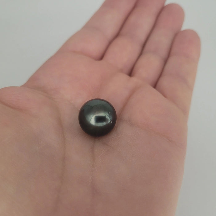 Tahiti Loose Pearl Dark Color and Very High Luster 15 mm | The South Sea Pearl |  The South Sea Pearl