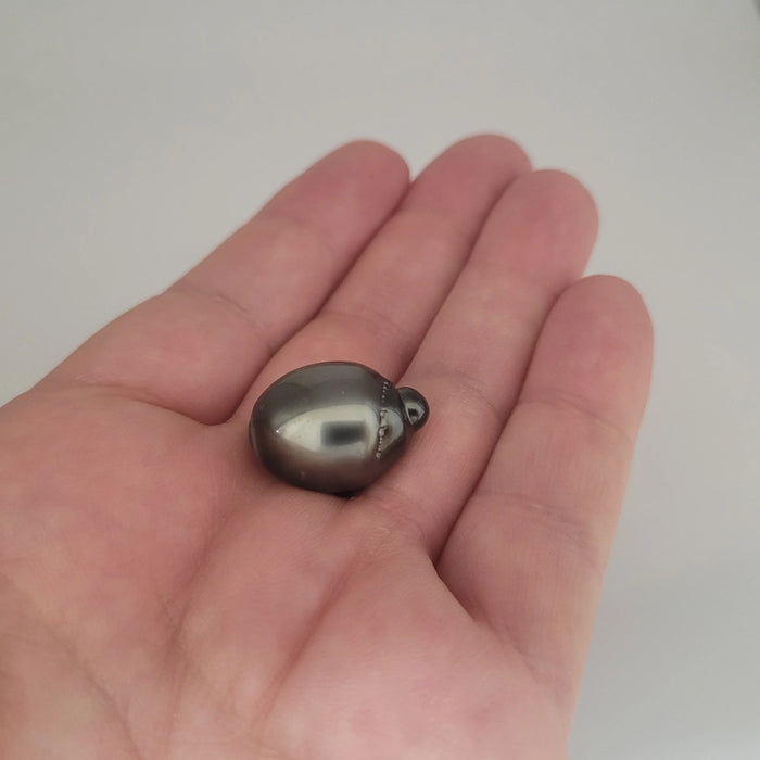 Tahiti Loose Pearl large 15 x 20 mm Dark Color Tear-Drop Shape | The South Sea Pearl |  The South Sea Pearl