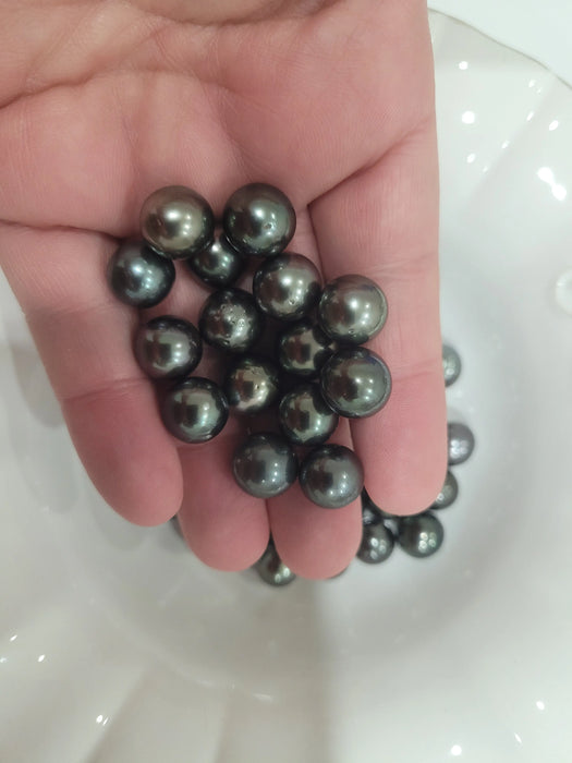 Tahiti Loose Pearls 11-12 mm Round Dark Natural Color and Very High Luster and Orient | The South Sea Pearl |  The South Sea Pearl