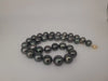 Tahiti Pearl Necklace 12-14 mm Dark Natural Color and High Luster 18K Gold Clasp | The South Sea Pearl |  The South Sea Pearl