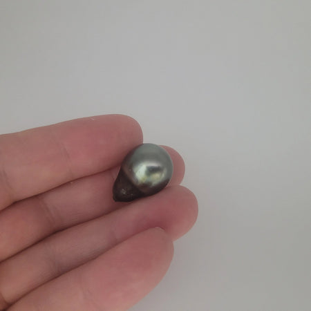 Tahiti Pearl Tear-Drop Shape Large size 22 x 15 mm | The South Sea Pearl |  The South Sea Pearl