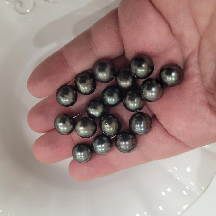 Tahiti Pearls 10-11  mm Dark Color Semi-Round Very High Luster |  The South Sea Pearl |  The South Sea Pearl