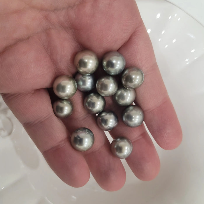 Tahiti Pearls Loose 11-12 mm Semi-Round Silver Green Color High Luster |  The South Sea Pearl |  The South Sea Pearl