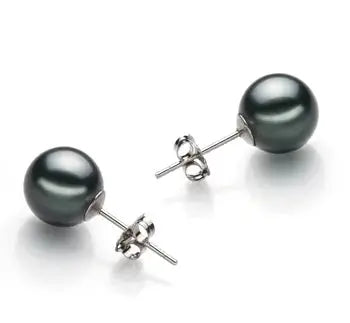 Tahitian Pearl Earrings in 925 Sterling Silver - Sizes from 9-11mm | The South Sea Pearl |  The South Sea Pearl