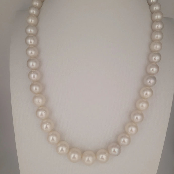South Sea Pearl Necklaces