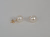 White South Sea Pearls 10-11 mm Earrings Stud 18K Solid Gold | The South Sea Pearl |  The South Sea Pearl