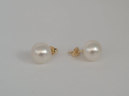 White South Sea pearl earrings — 10-11mm studs, 18K solid gold (Pinctada maxima)