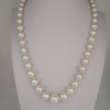 White South Sea Pearls Near-Round High Luster 18K Gold Clasp | The South Sea Pearl |  The South Sea Pearl