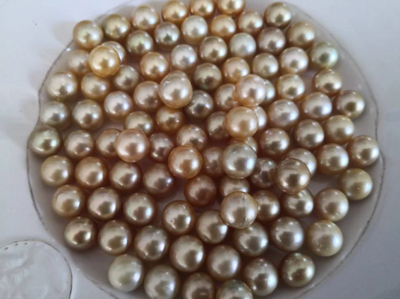 12-13 mm Loose Golden South Sea Pearls, High Luster, Round -  The South Sea Pearl