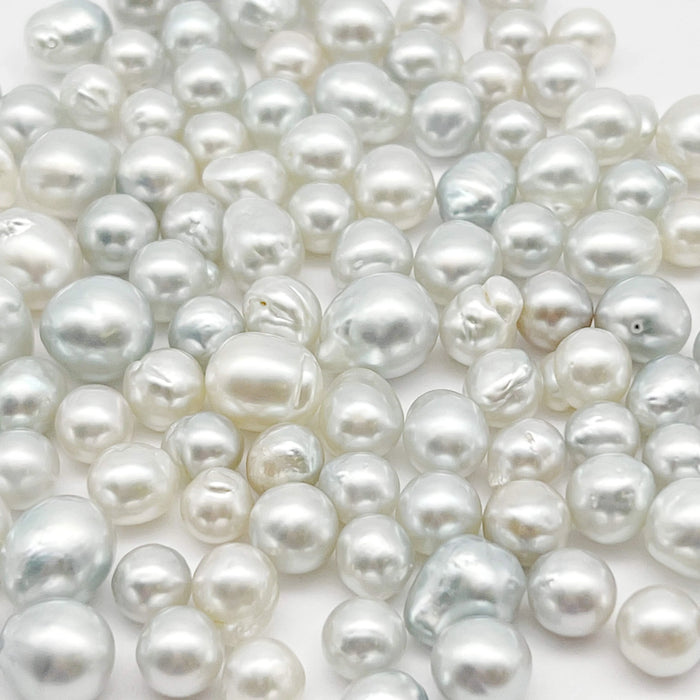 South Sea Pearl Single 13.7 mm Baroque Quality Grade 1 |  The South Sea Pearl |  The South Sea Pearl