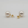 White South Sea Pearl Earrings 10  mm Round Shape White Color | The South Sea Pearl |  The South Sea Pearl