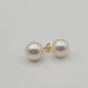 White South Sea Pearl Earrings 11 mm Round 18K White Gold | South Sea Pearls |  The South Sea Pearl