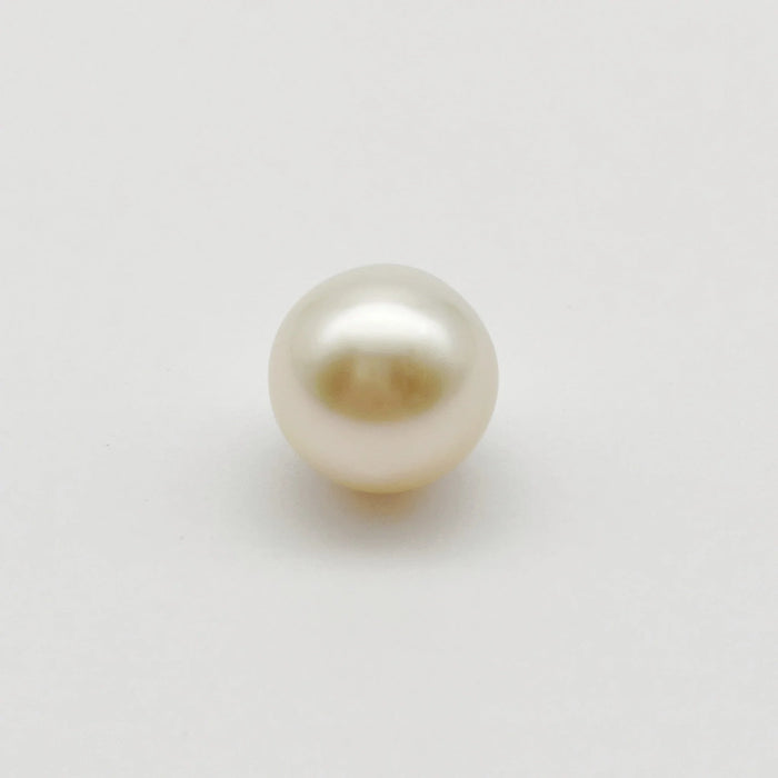 South Sea Pearl 13.7 mm Loose Grade 1 |  The South Sea Pearl |  The South Sea Pearl
