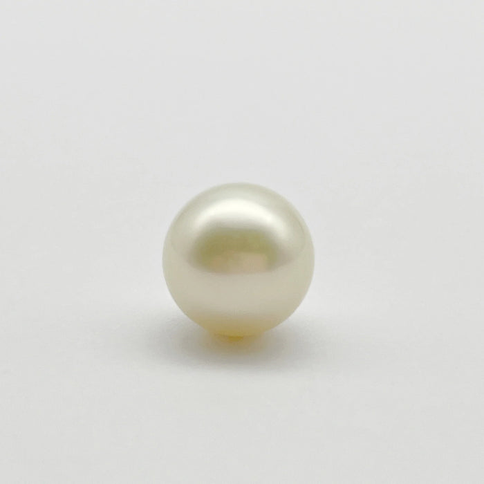 South Sea Pearl 13 mm Loose Grade 1 |  The South Sea Pearl |  The South Sea Pearl