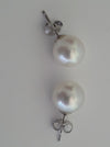 White South Sea Pearls Stud Earrings 10 mm - Only at  The South Sea Pearl