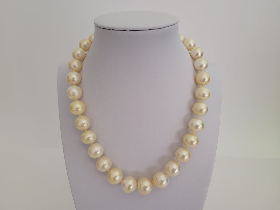 South Sea Pearls of Light Golden Color 10-14 mm - Only at  The South Sea Pearl