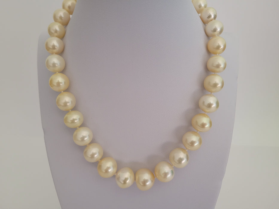 South Sea Pearls of Light Golden Color 10-14 mm - Only at  The South Sea Pearl