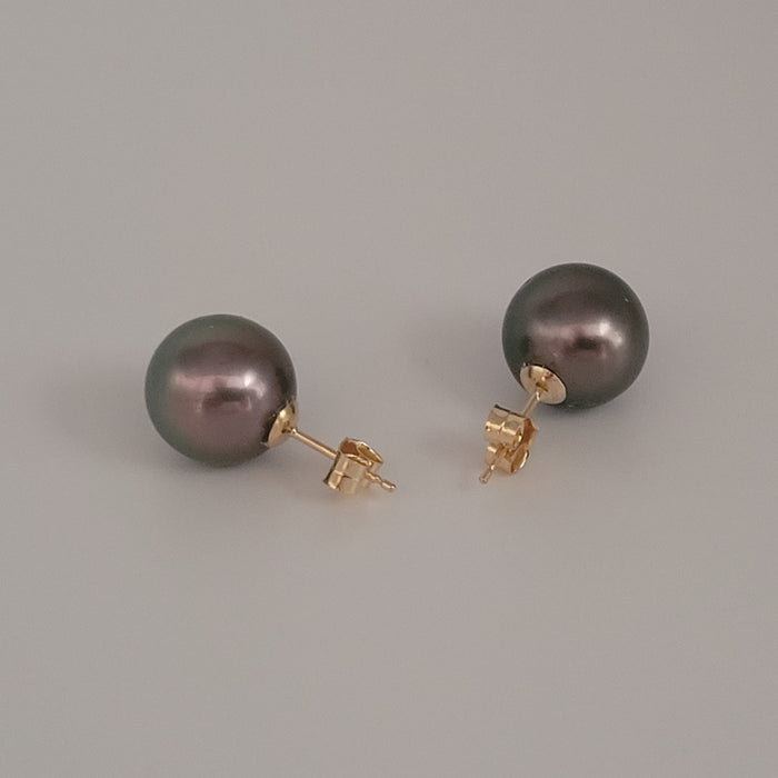 Tahiti Pearl Earrings 12 mm AAA Quality High Luster 18K Solid Gold |  The South Sea Pearl |  The South Sea Pearl