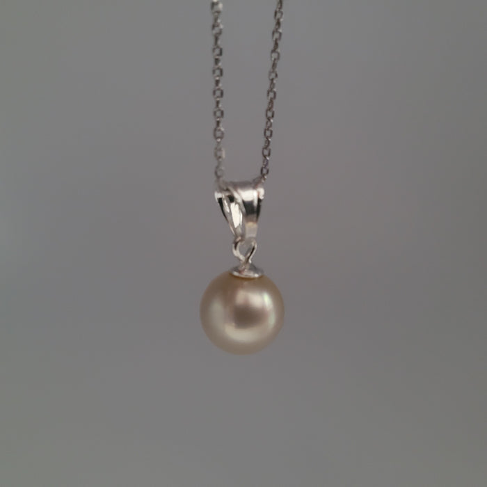 Golden South Sea Pearl Pendant 10 mm |  The South Sea Pearl |  The South Sea Pearl