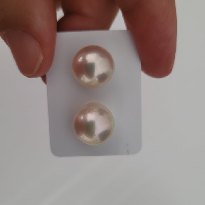 South Sea Pearls 12 mm Fine Quality |  The South Sea Pearl |  The South Sea Pearl